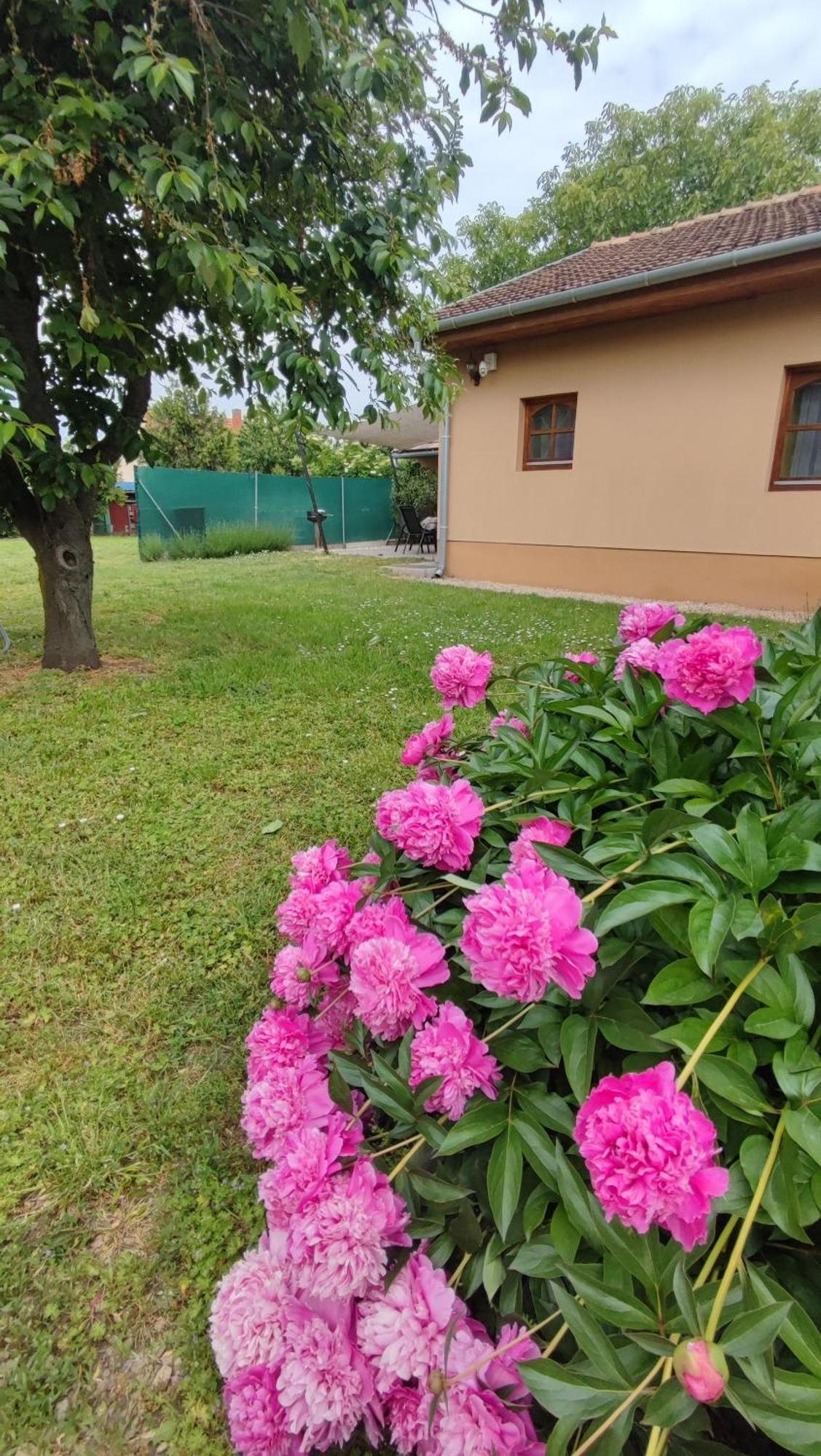 Limonádé Apartman Gárdony Esterno foto
